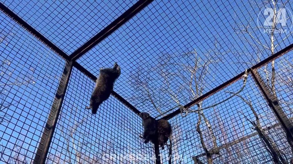 ��� ��� ����� ����� �� ������� � �����