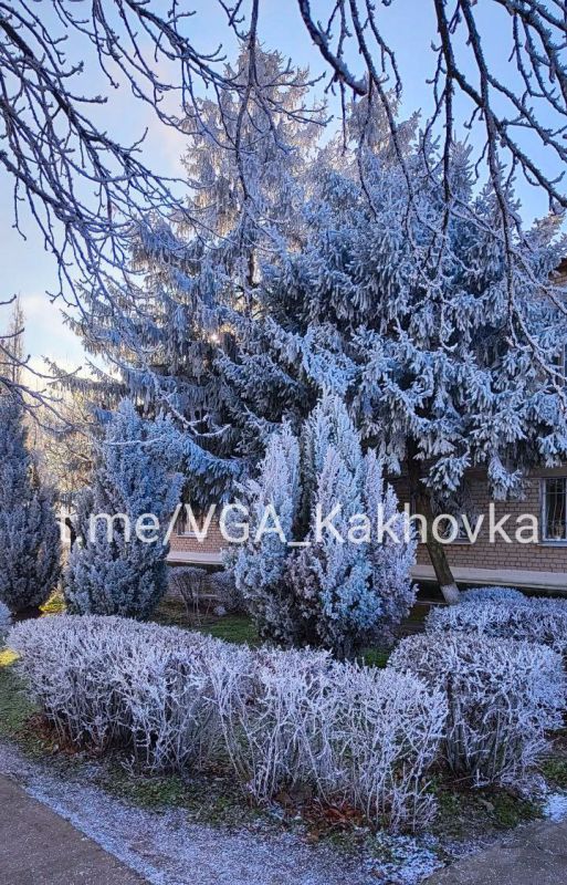 ����� �������� ���� � ��������� ������������� ������, ������������-���������� ��