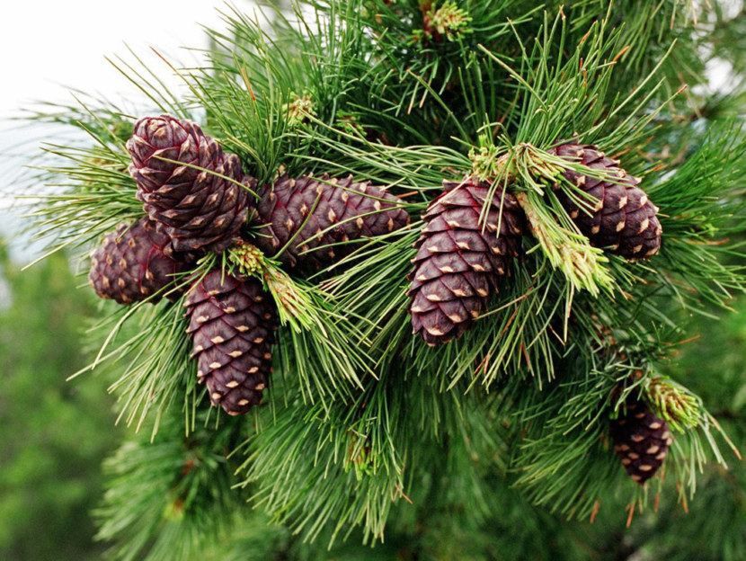 ������������ ��������� �������� � �������� ���������� ������� ��������� �� ���������� �������������� ���������� ��������� ���������� ����� �������� ��������� �� ���������� ����