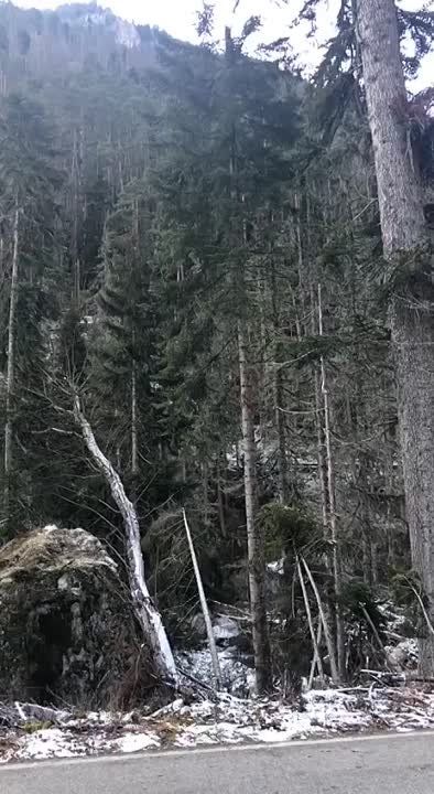 �� �, ������� ��, ��� � �������� �� ������� ���������-��������