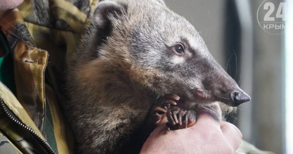 ��������� �������� �� ����� ������� ��������� � ����