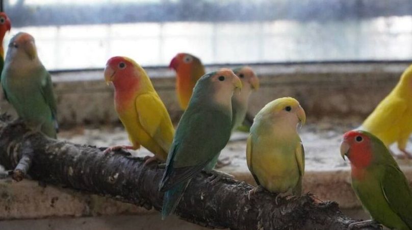 �������� �� ����� ������� ���������� � ����