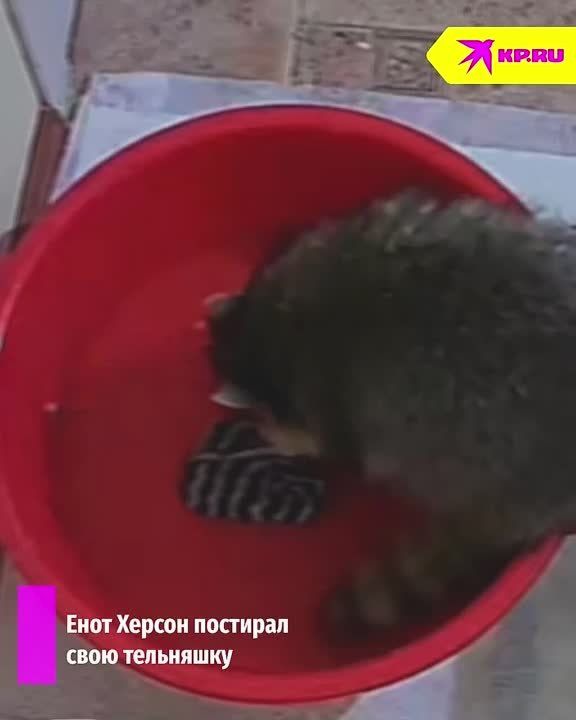 ���������� ����� �������