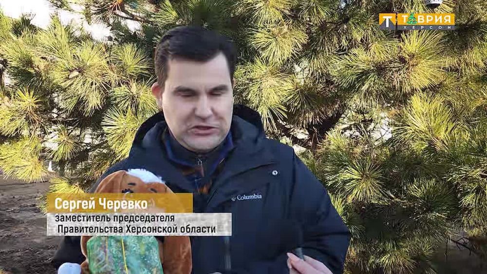 � ���������� ������ ���������� ������� ���������� ��������� ������������ ������ �� ���� �������� ������