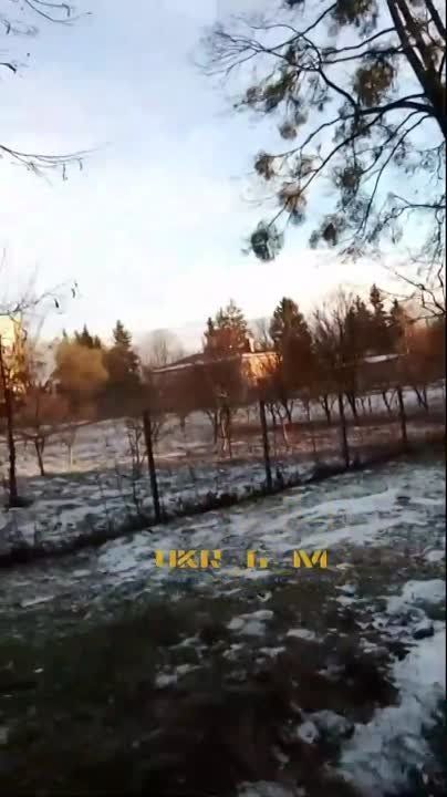 ������ ���� �������� ���