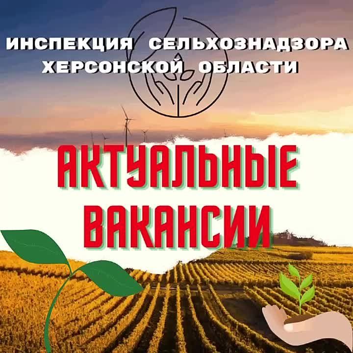 �������� �������� ��������� ��������������