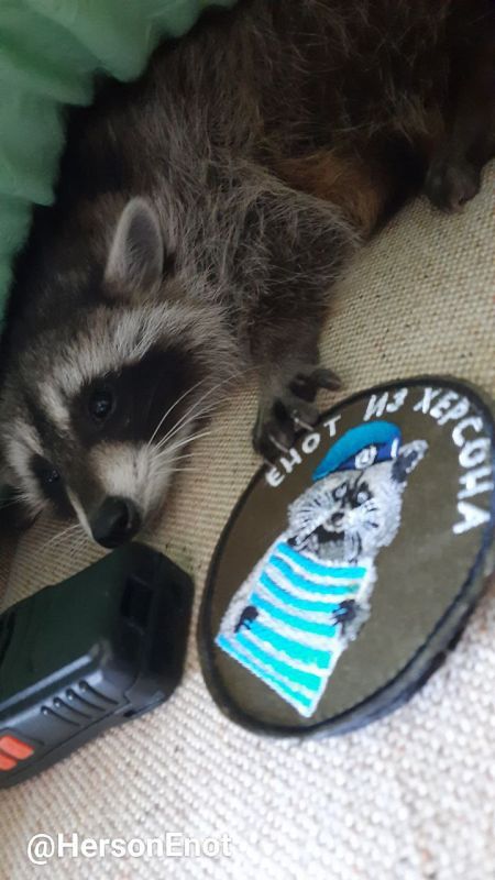 ���� �� �������: ������, �� ������� ���!