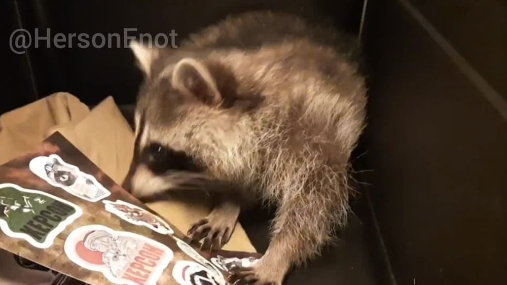 ���� �� �������: �������� ������� ��� ����� �������� ���������� � �������� �� ������