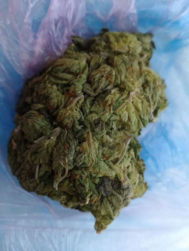 � ������ ���. �������������� ��������������� ������ ���������