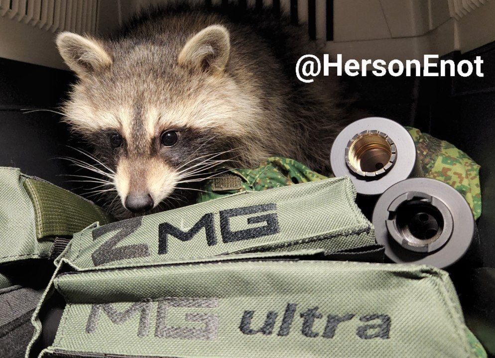 ���� �� �������: ����� ���� ��������� ������ ����� ��� ���� ������� ������� � ��������: