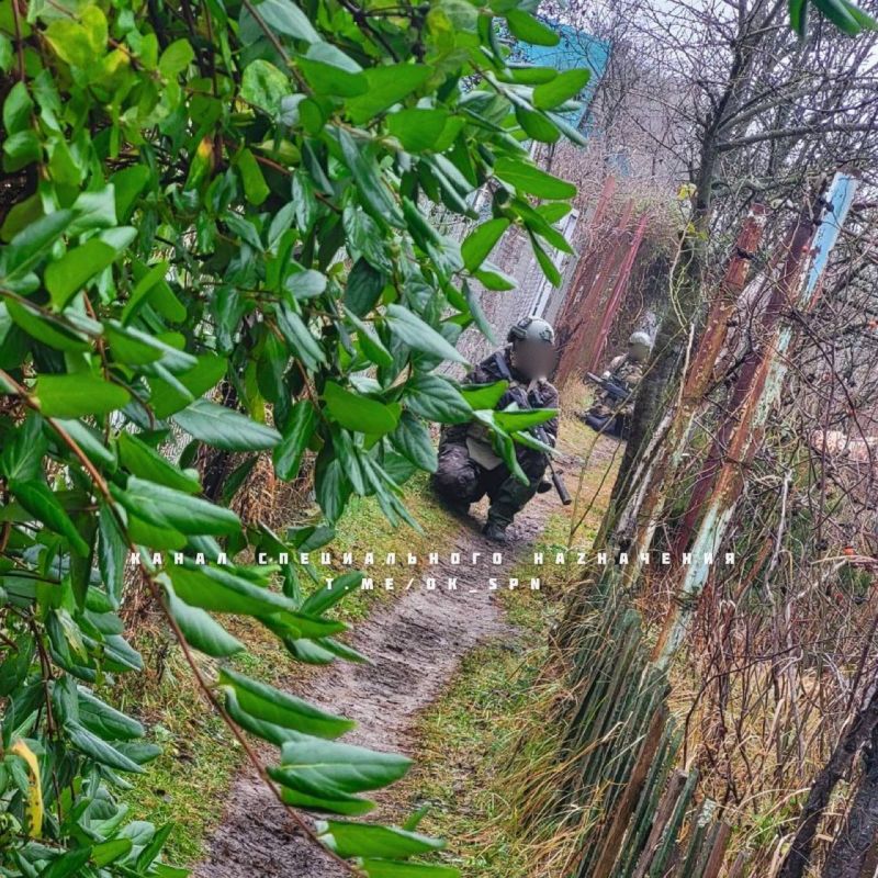 �������������� ������������� �������� ����������� ��� ������������� � ������� �� ������������ ������ ��� ��������