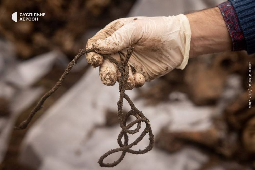 ������������ ���� ��� ��������