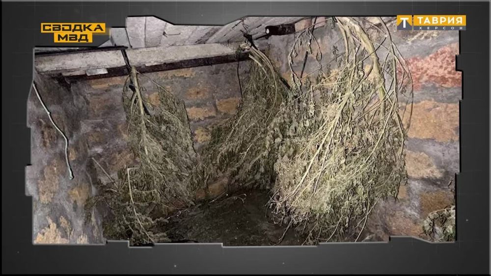 ����������� ������ ��� �� ��������� ������: