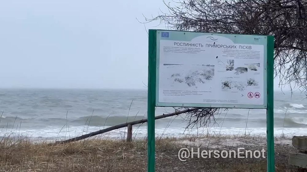 ���� �� �������: ��� �������� ��� ����� � ����������� ����