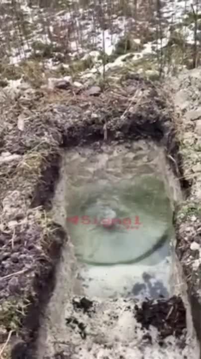 ����������� ����������. "�� ���� ���� ������� ������ �����������"