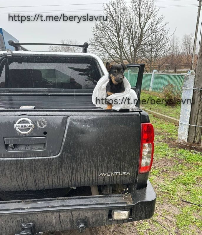 ��� ������� �������� ������ ������ ����������� ������