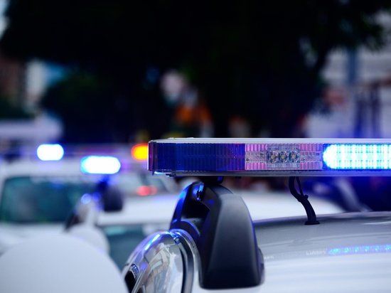 Baza: � ����������� ��������� ������������� �������� � ��������� ���������