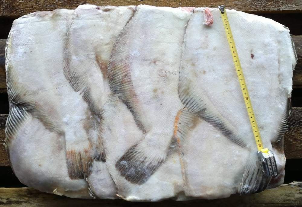 ������� ������� ���� ���������� ������ ����� � �������� ����