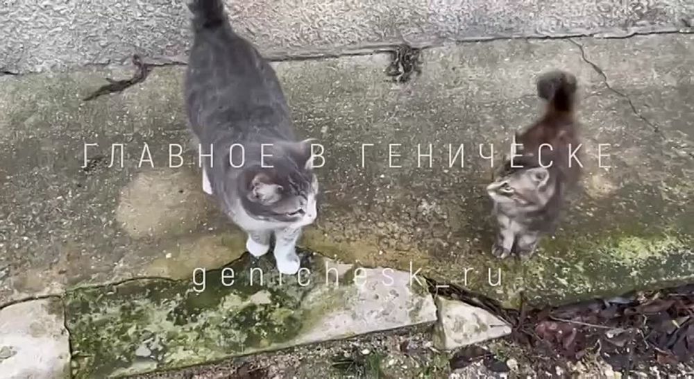 �������� ���������� ����������� ��������� ��������� �� �������������� �������� � ���������