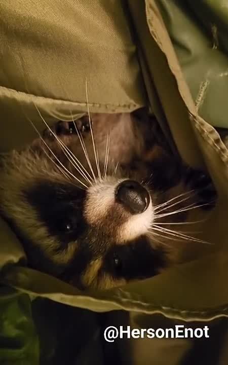 ���� �� �������: ������� ����, ������!. ������ ��� � ��� ���� ���������, � ���� ��� ����������� �� ������! ��� ������� - ����