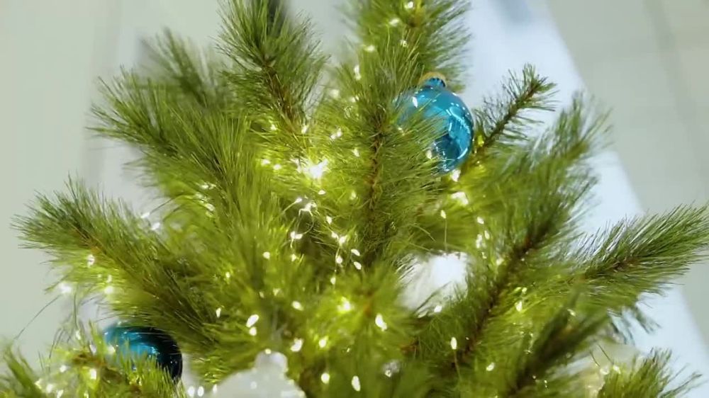 �������� ������ ������������� � ������������� ����������������� ����� ����� �������