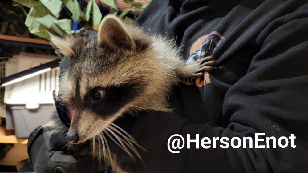 ���� �� �������: ������ ����, ������!. ������ ����� ���������� ��������� ������������! �����, ���������