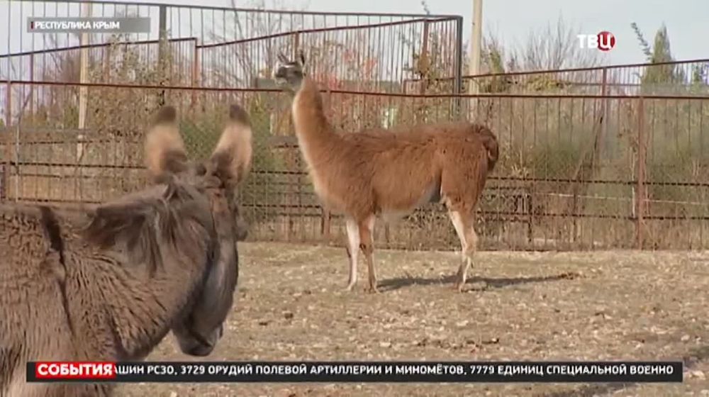 ������ ��������: ��������� � ������� �������������� �� ����� ������� ��������