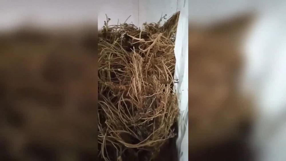 � ���������� ������� ������������ ������� �� �������� ����������� � ������������ �� ���� ����� �������� ��� �������������� �� ������ ��������