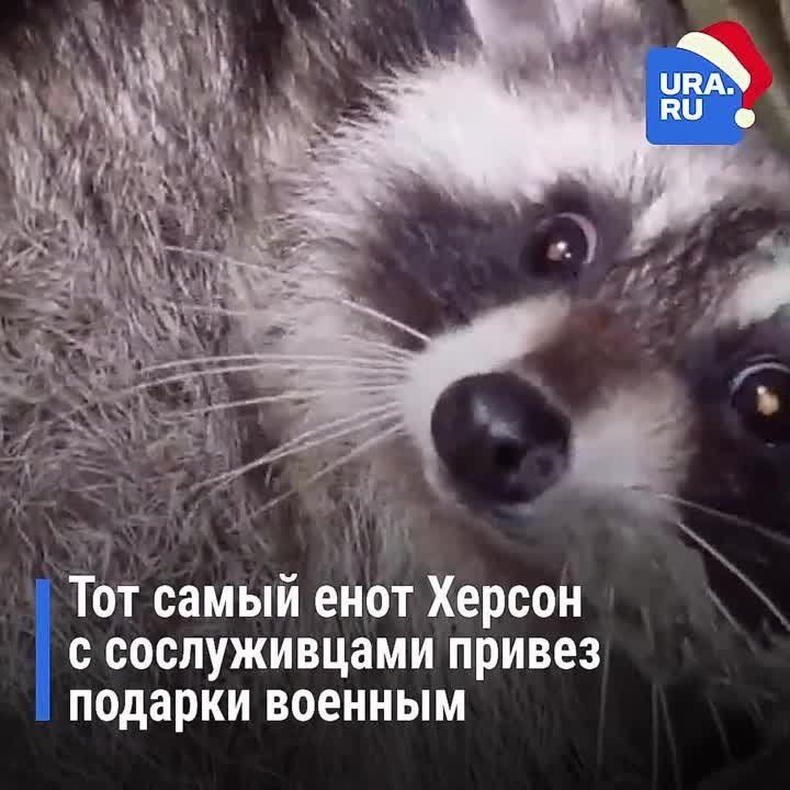 ���� ������ ������ ���������� ������� ��������������, ������� ��������� � ���� ���. �� ���� �������� ������������� URA.RU c ����� �������