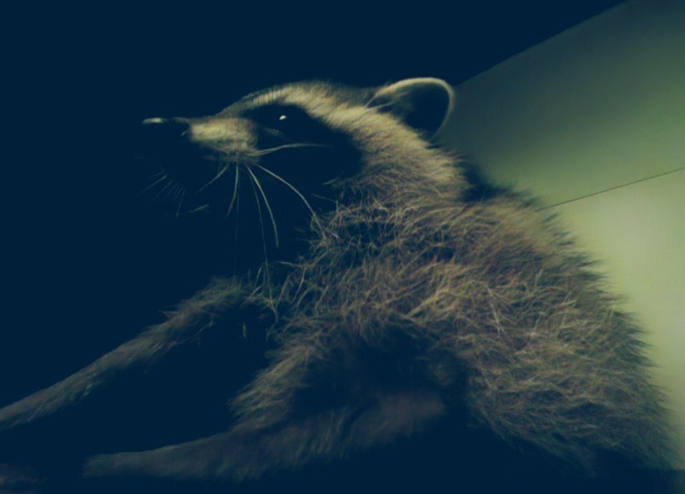 ���� �� �������: ������ ����, ������!. � � ��� ���� ������, �������. ��� �������� � �����. � � ��������� �� �������...