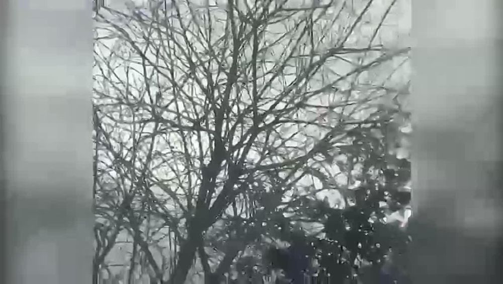 ������� � ���� ���� ���� ���� �����, ������� ������� ���������������