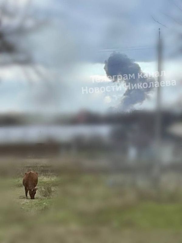 � ������������ ������� ����� ������� ���������������� ������