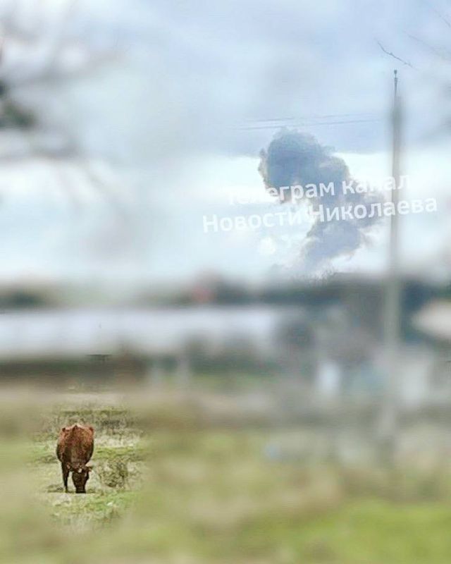 ���������� � ������������ ������� ������ ����������