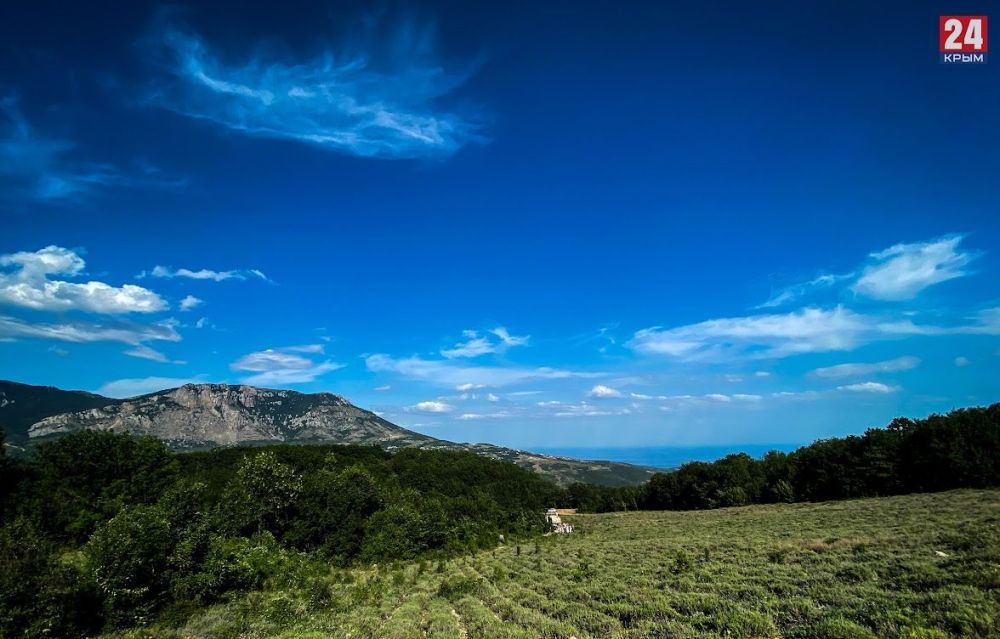 � ��������� �� �������, ��� ������ ���������� ������������ ����� � ��������� ����� ������ ���������