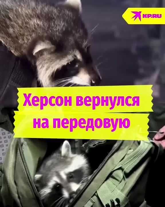 ������ �������� �� ���������