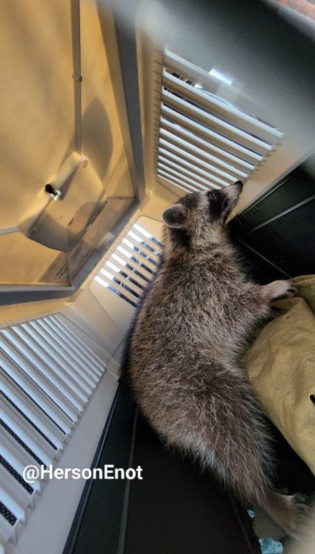 ���� �� �������: ������? �� ���� �� ��� ������?