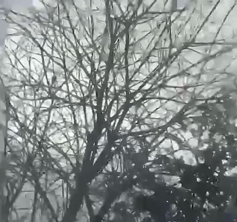 ������ ������ ��� �������� ��������