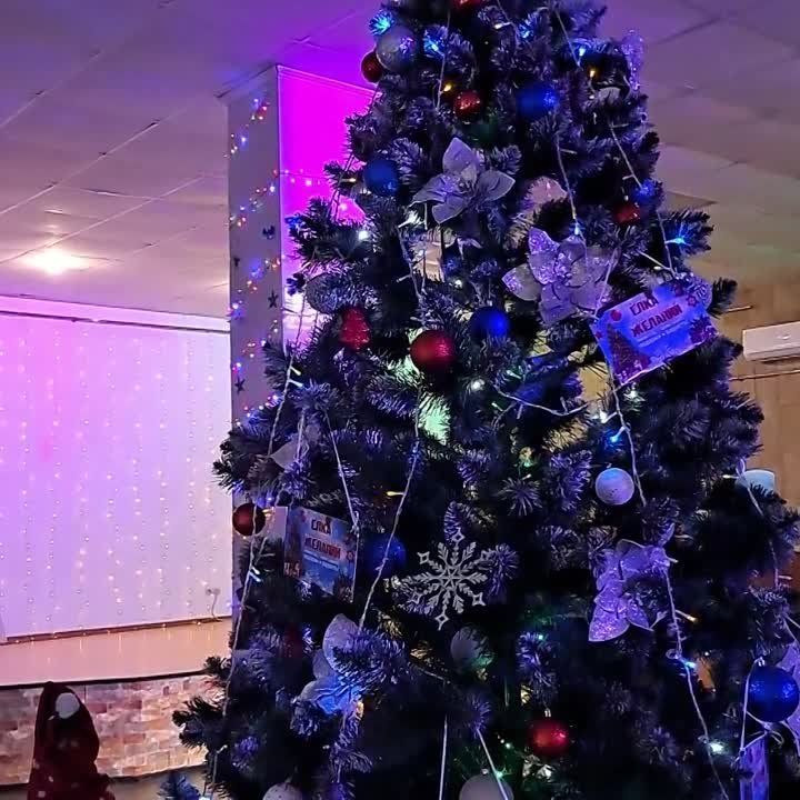 ������ ���, ��� � ��� �����!