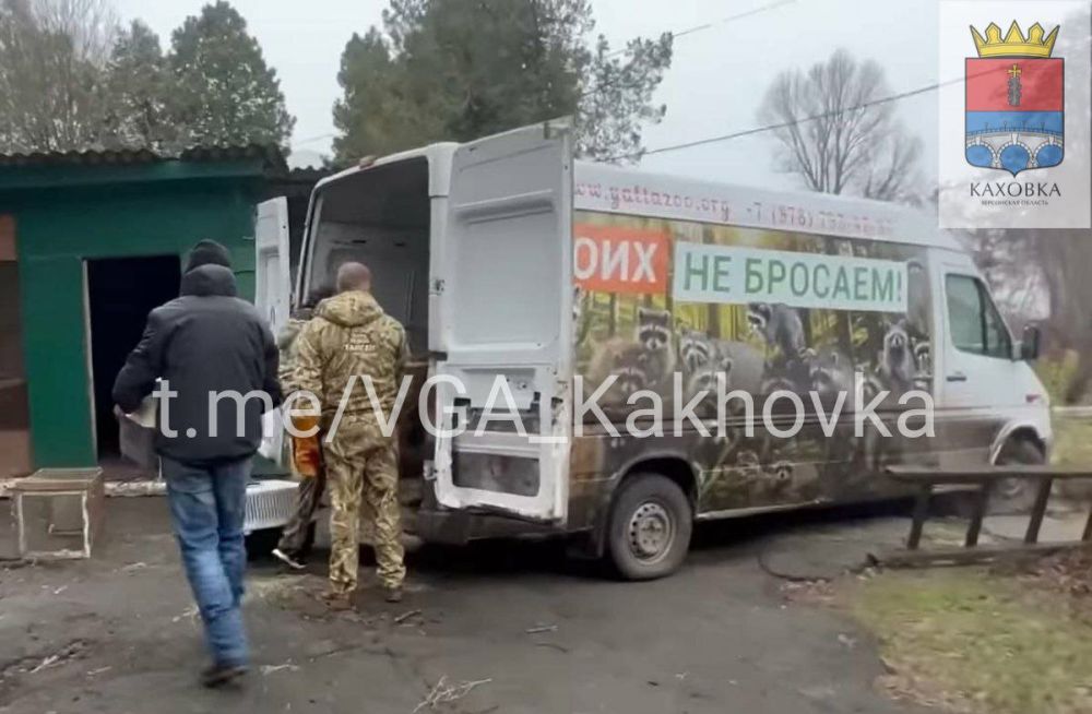 �� ���������� ���� �������� ��� ������������ �������� � ������� "������" � ����� ������ � �����