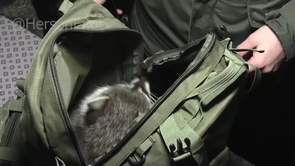 ���� �� �������: "������� ������� �����"