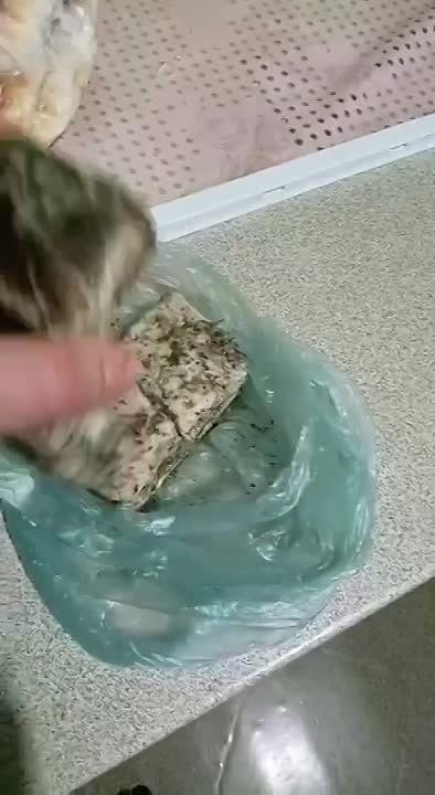 ������� � �������� � �������, ����� ������ ����� ���������� ������ � ������ ���