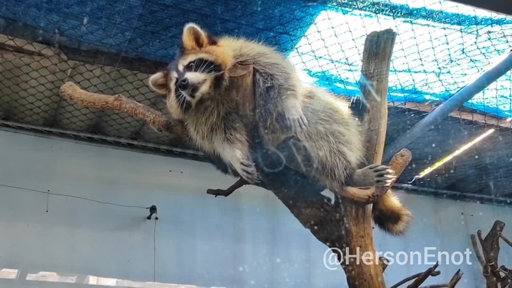 ���� �� �������: ����������� �� �������� � ������� �����!