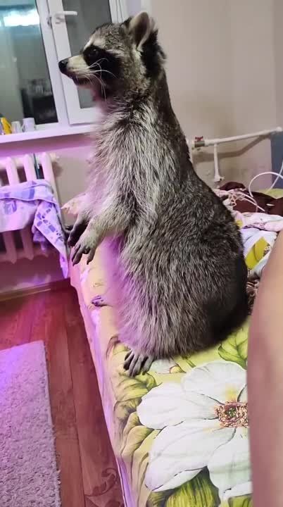 ���� �� �������: ������������ ����� �� ����� ����!