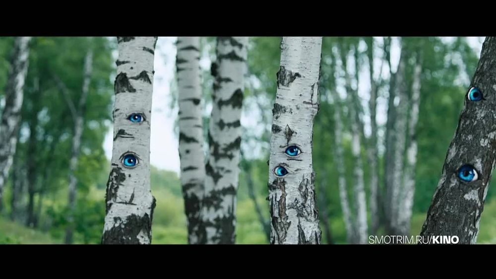 ���������� ���������� �����������!