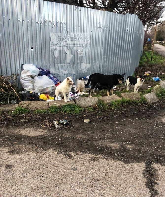 ������ ��� ������ ����������� � ������������ �������