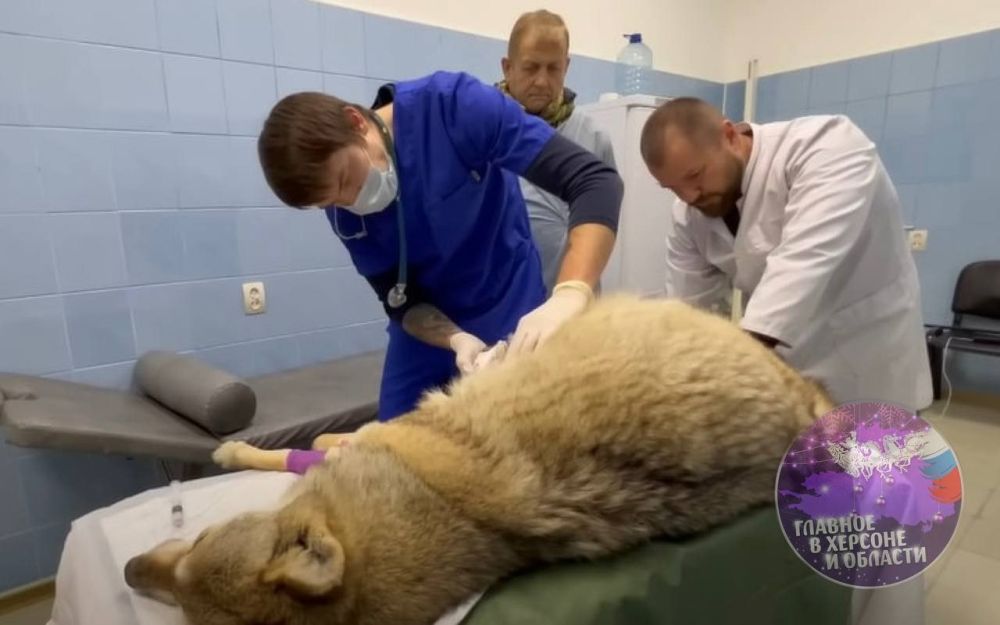 �������� ���������� ������� ����� ������� �� ������� � ��� ��������� ��� ���������� ������������