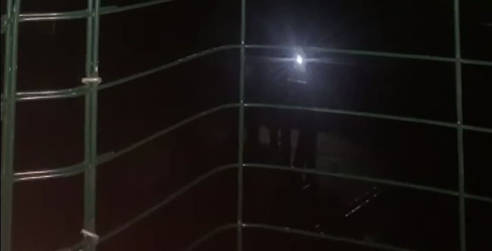 ����� "�������" ������������ ��� ����: ������ � �����, ��������������� � ���������