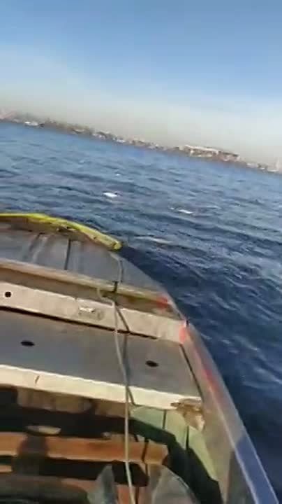 ����������� ������ ���������� ������� ���� ����� ������