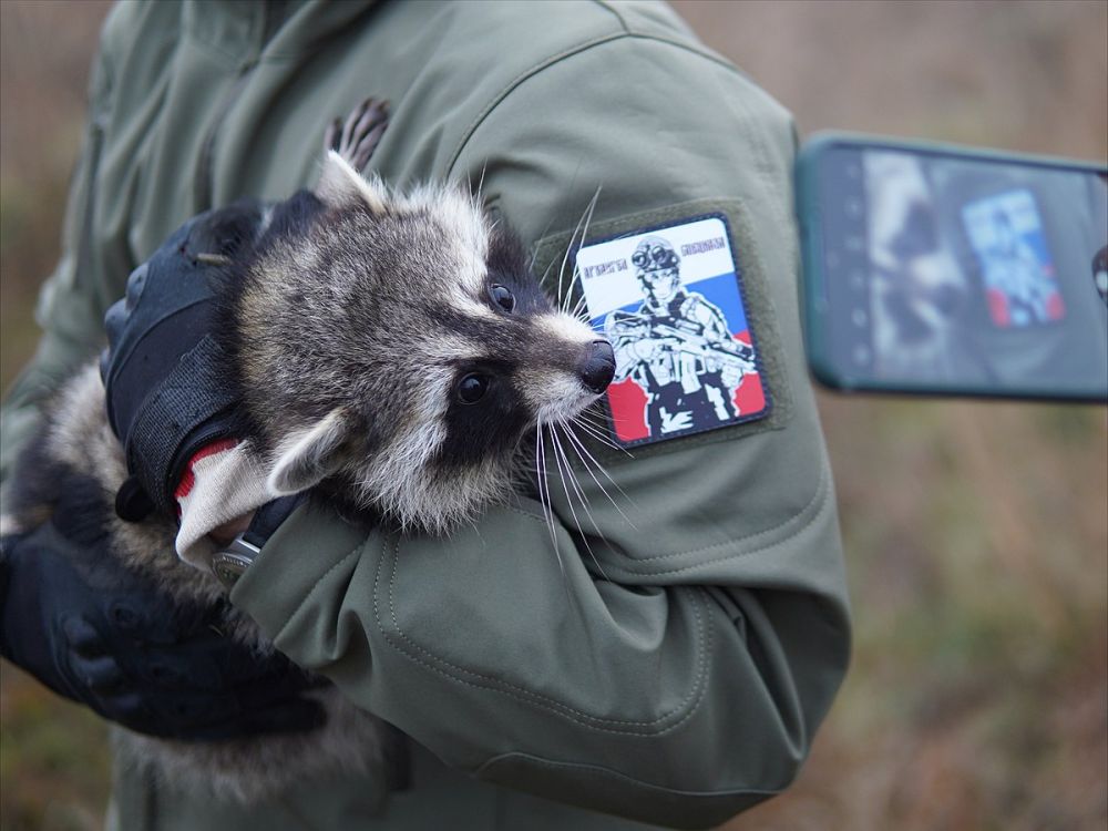 ����������� ��������� ���� ������ ��������-�������� - ���� �� ������� @HersonEnot � ��������� �������� @rusich_army