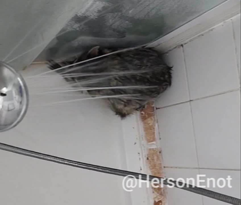 ���� �� �������: ������� ����, ������! ���� ��������� � �� ������! ������ ������ � ����